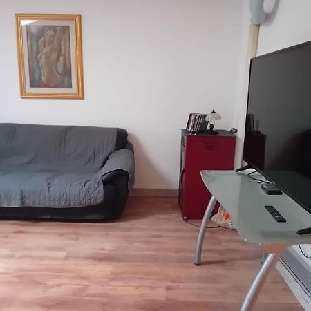 Antonini Apartments Trieste Bagian luar foto
